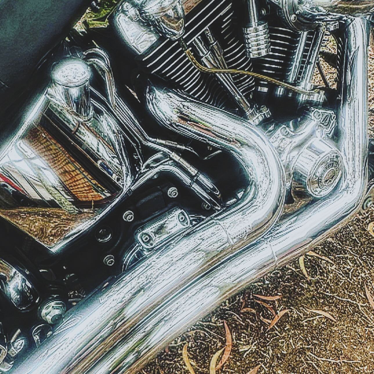 Bike detail 1